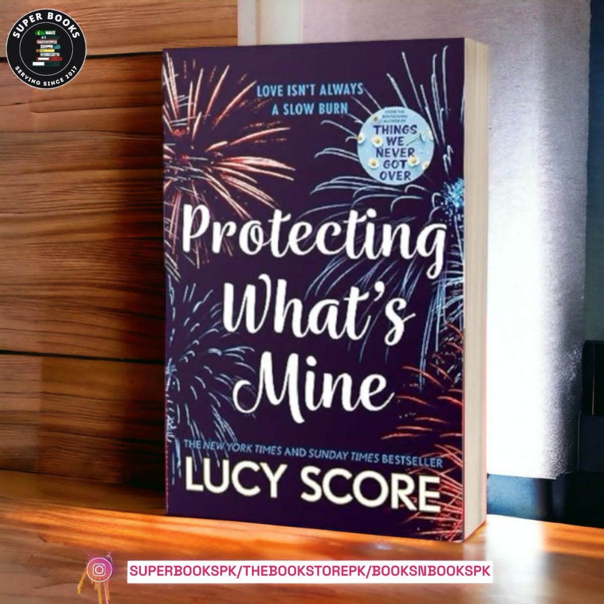 Protecting What's Mine by Lucy Score - Image 1