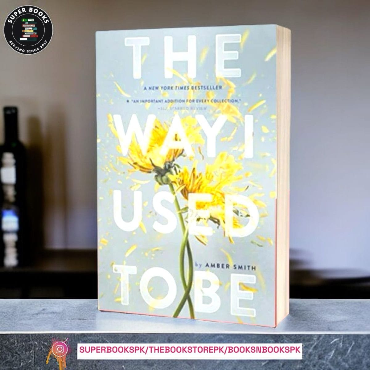 The Way I Used to Be by Amber Smith - Image 1