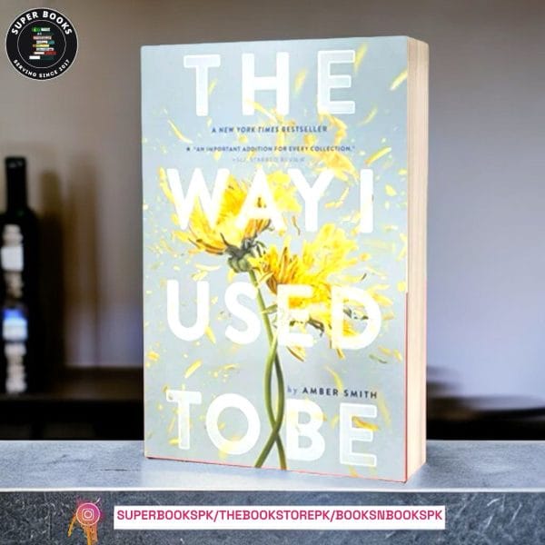 The Way I Used to Be by Amber Smith