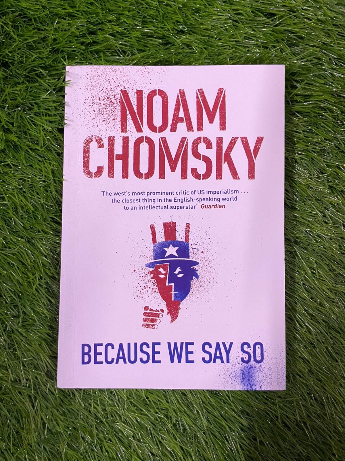 Because We Say So BY Noam Chomsky - Image 2