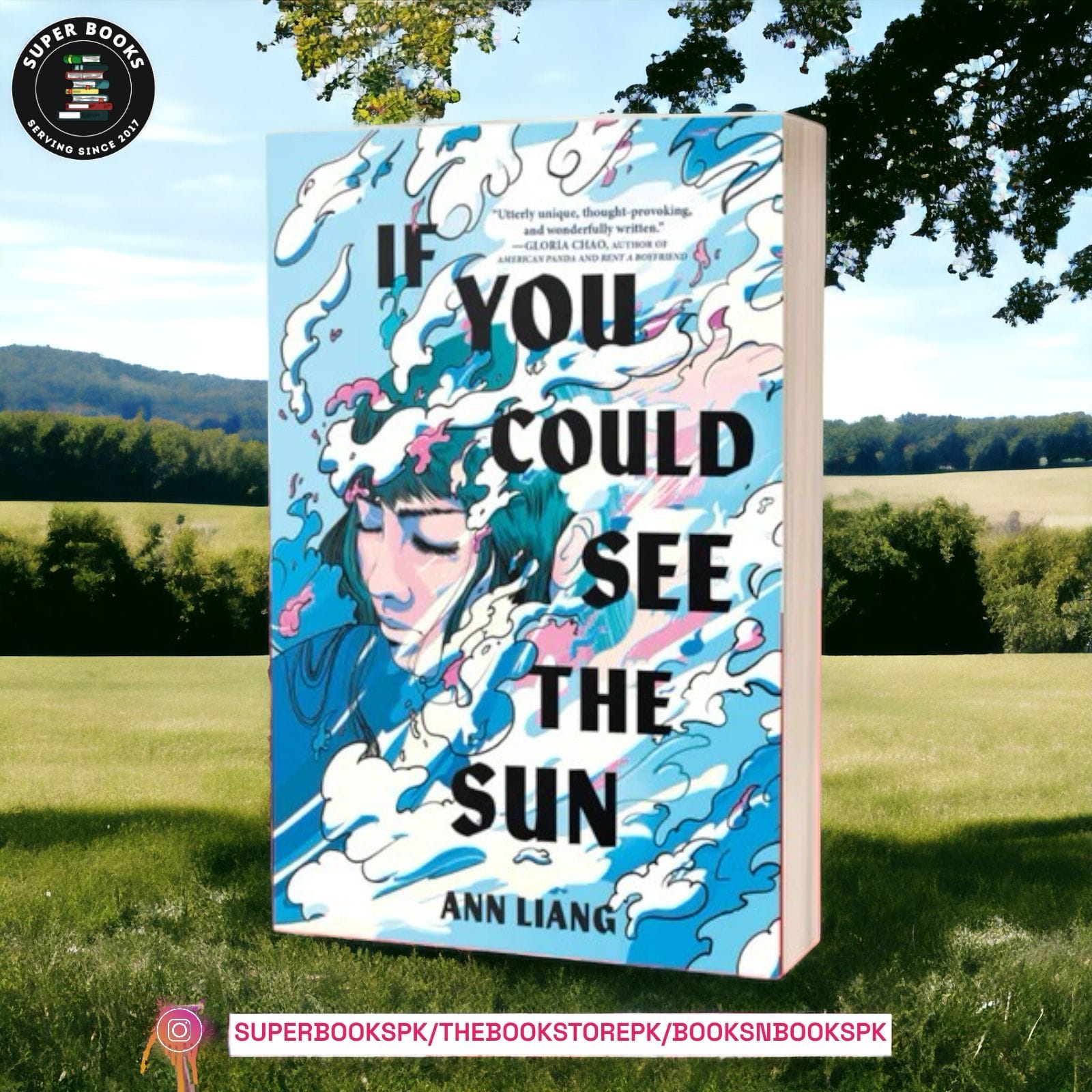 If You Could See the Sun by Ann Liang