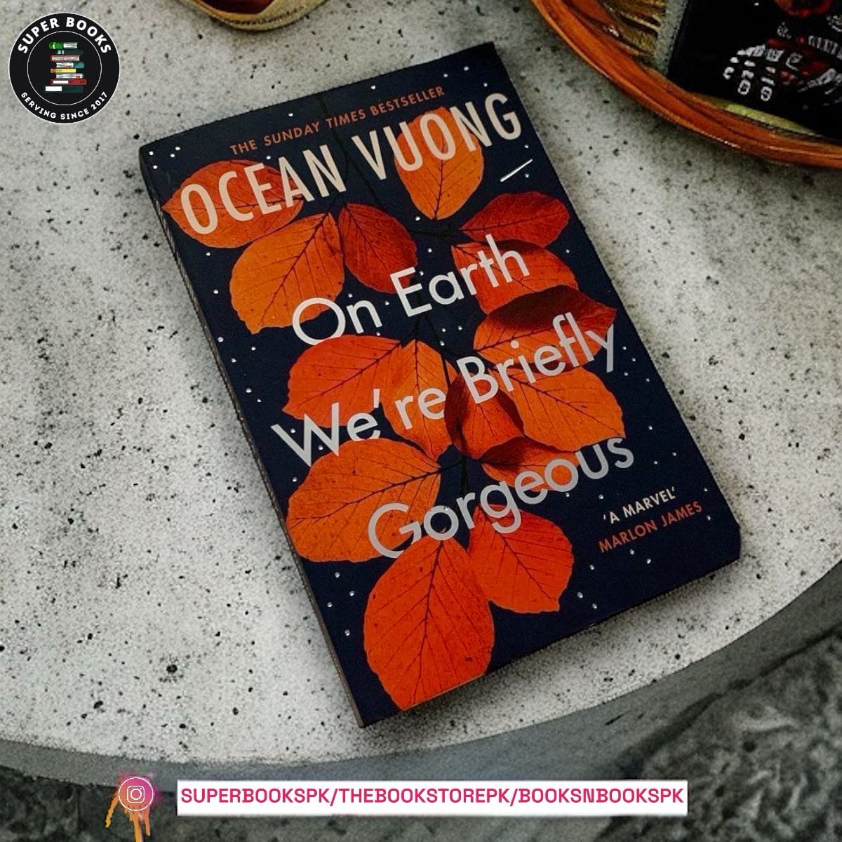 On Earth We're Briefly Gorgeous BY Ocean Vuong