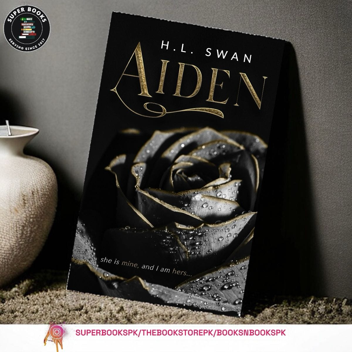 Aiden by H.L. Swan