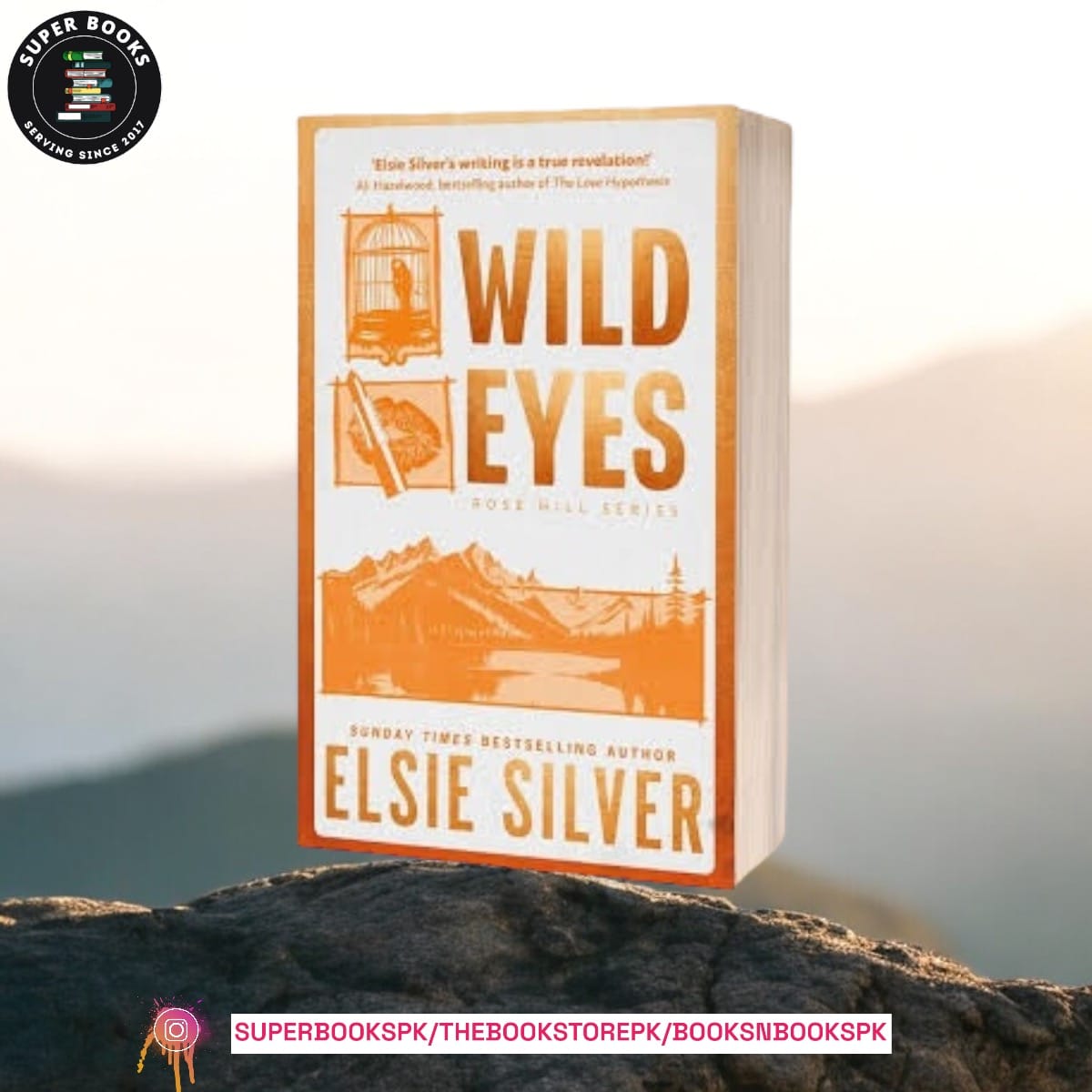 Wild Eyes by Elsie Silver