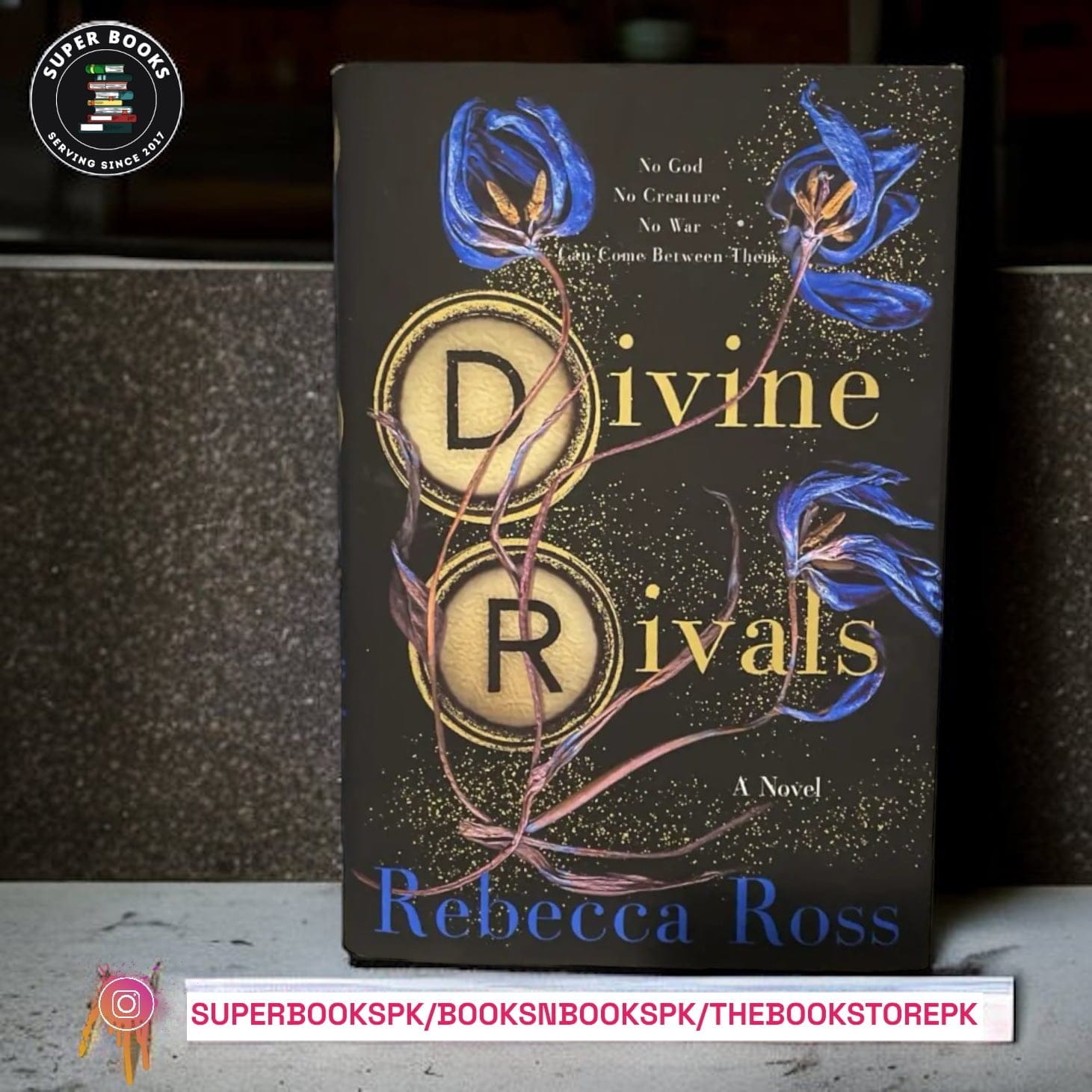 Divine Rivals by Rebecca Ross