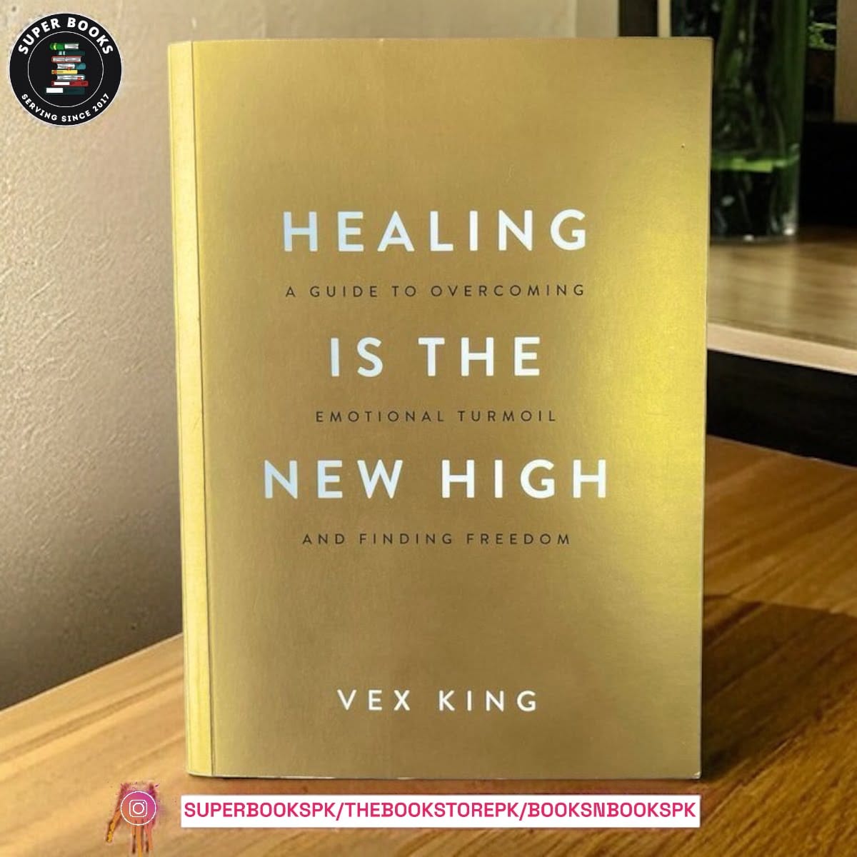 Healing Is the New High by Vex King