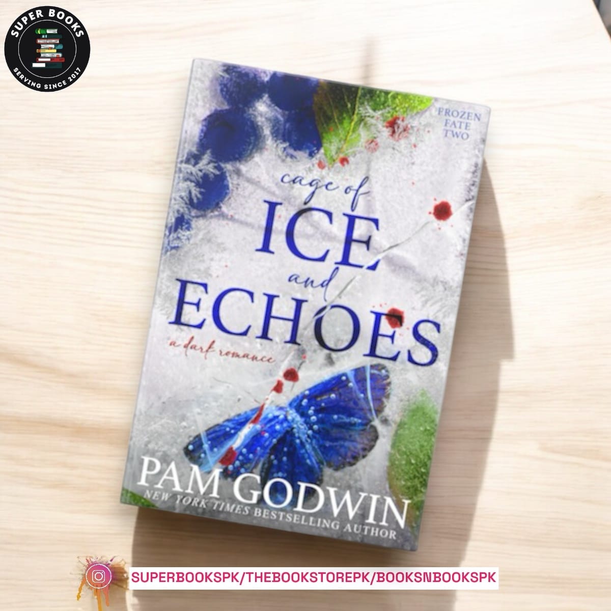 Cage of Ice and Echoes by Pam Godwin