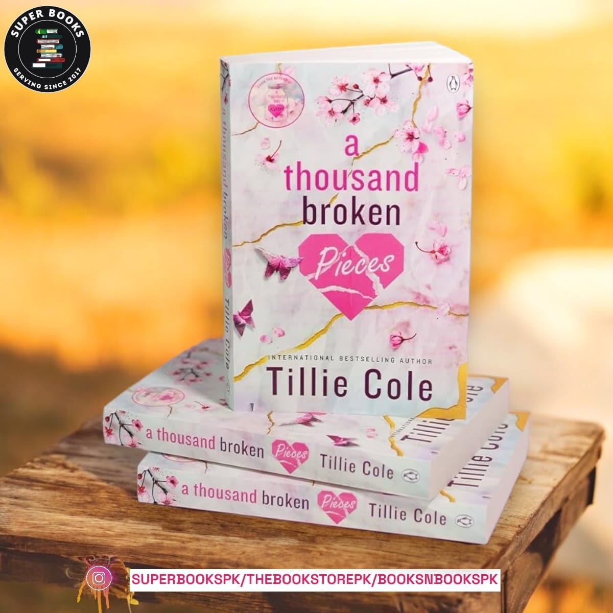 A Thousand Broken Pieces by Tillie Cole