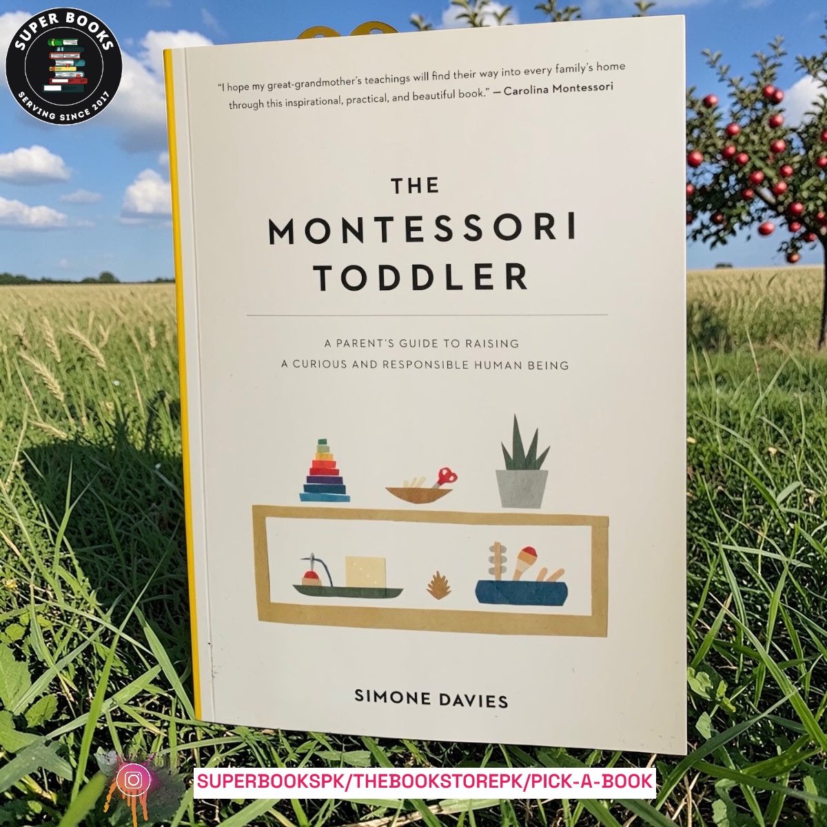 The Montessori Toddler: A Parent's Guide to Raising a Curious and Responsible Human Being by Simone Davies